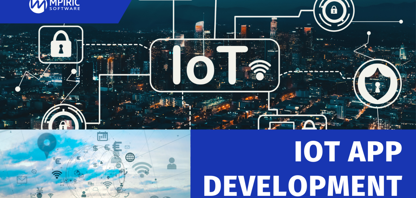 IoT App Development (5)