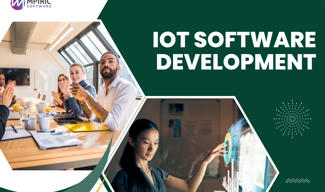 IoT Software Development (2)
