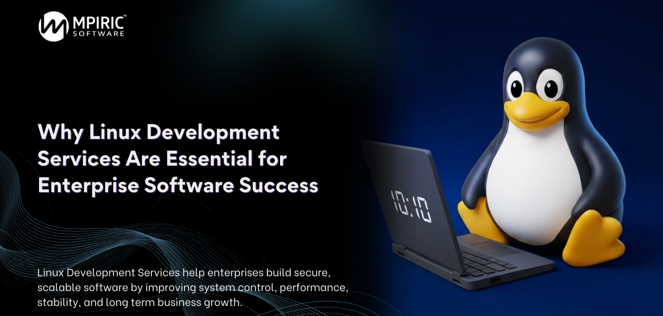 linux development services supporting enterprise software stability and performance