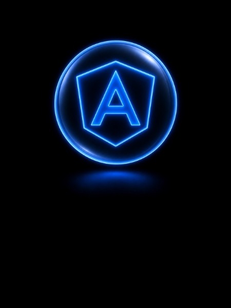 Angular JS development